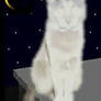Ghost Cat