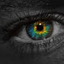 Monochromatic Eye