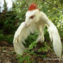 Albino Microraptor