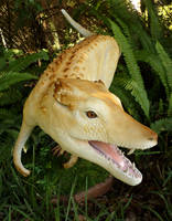 Pseudhesperosuchus 2