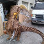 Dilophosaurus