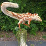 Masiakasaurus3