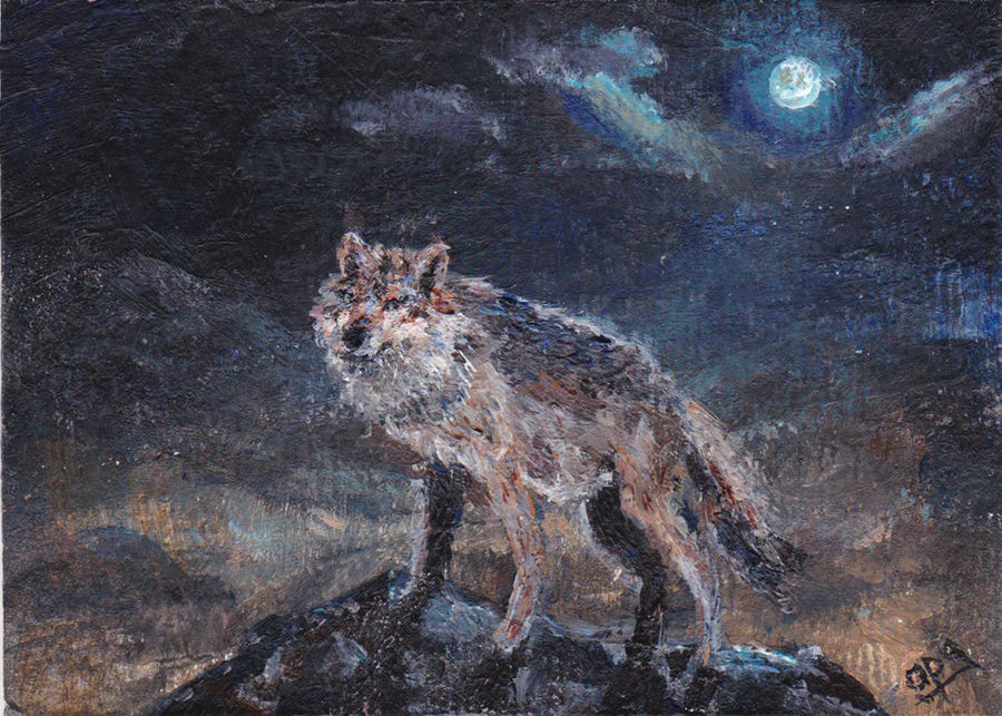 canis lupus lunaris ACEO by fingalificated