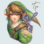 LINK Twilight Princess