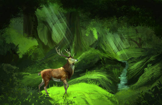 Deer in a Forest