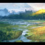 Wetlands