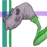 Rhino-plant