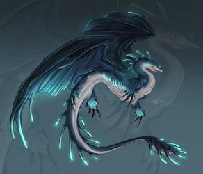 Deep sea dragon