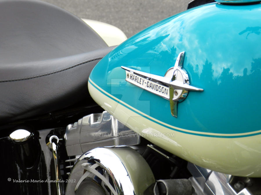 Harley-Davidson Motorcycle Tank