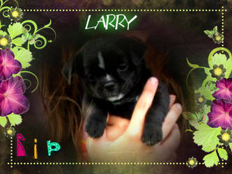 Larry