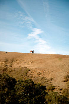 Horse Riding