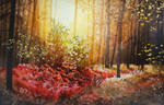 Autumn lights by JoaRosa