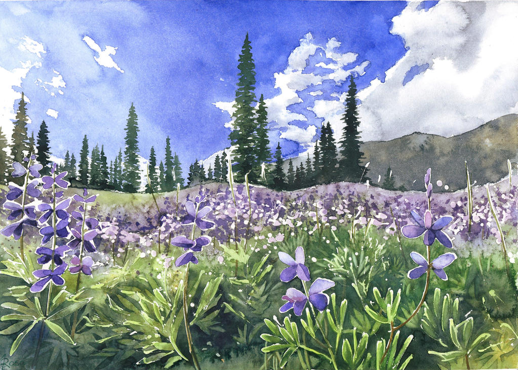 Violet meadow