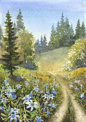 Valley of blue lilies by JoaRosa Valley of blue lilies by JoaRosa