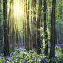 Blue lilies forest