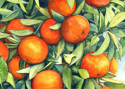 Tangerines