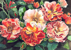 Roses