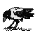 Crow Icon -