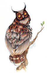 Horned Owl