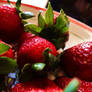 Strawberries 1