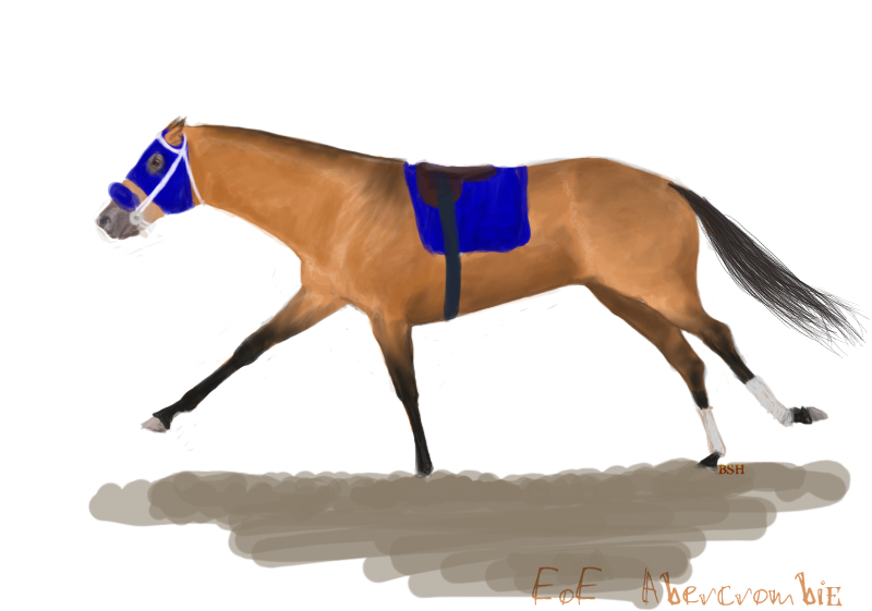 Racehorse