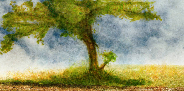 Tree Premade Background