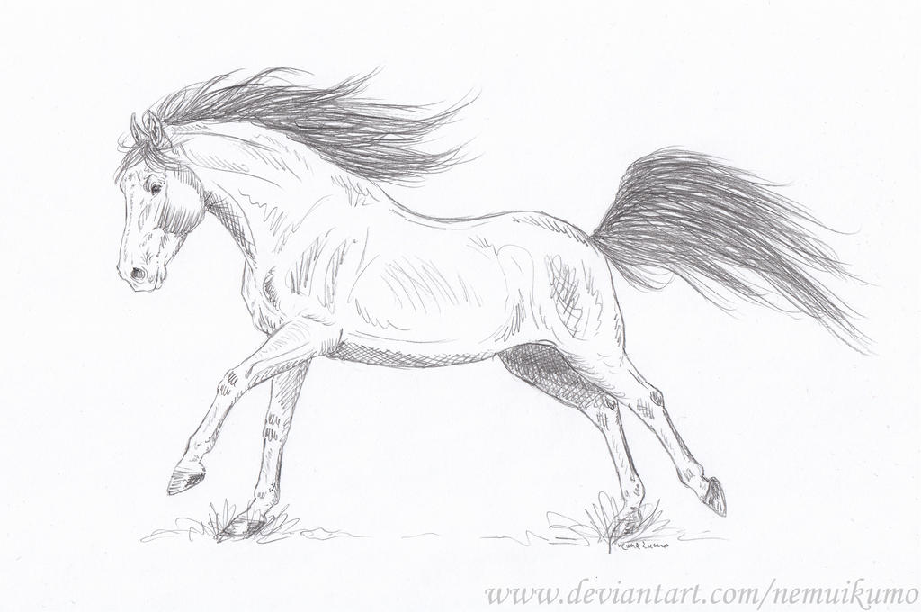 Week 52 2022 Final By Nemuikumo On DeviantArt Week 52 2022 final by nemuikumo on deviantart