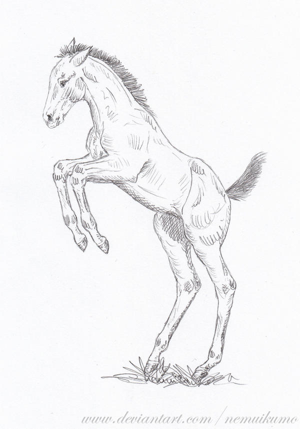 Week 43 2023 By Nemuikumo On DeviantArt Week 43 2023 by nemuikumo on deviantart