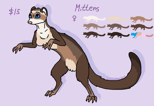 Ferret adopt - CLOSED