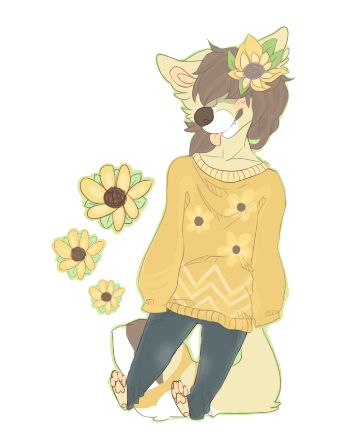 pyotr the sunflower pup