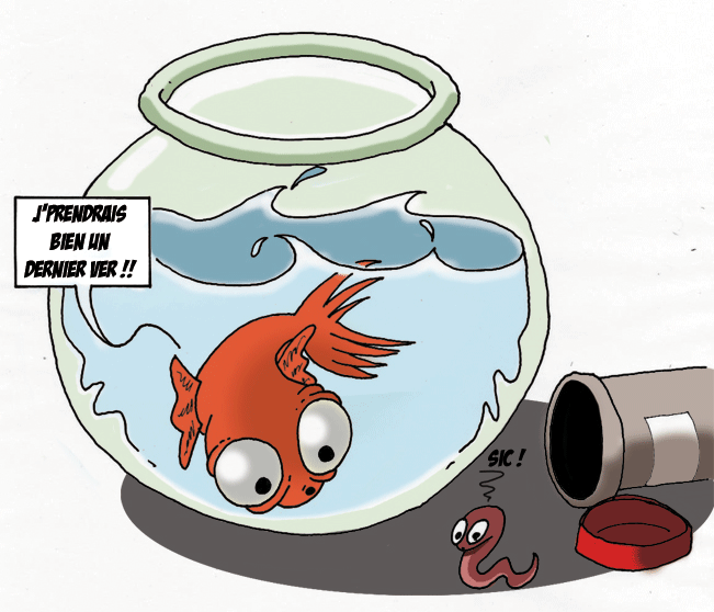 Un Poisson Rouge Dans Un Bocal By Embe62 On Deviantart Un Poisson Rouge Dans Un Bocal By Embe62 On Deviantart