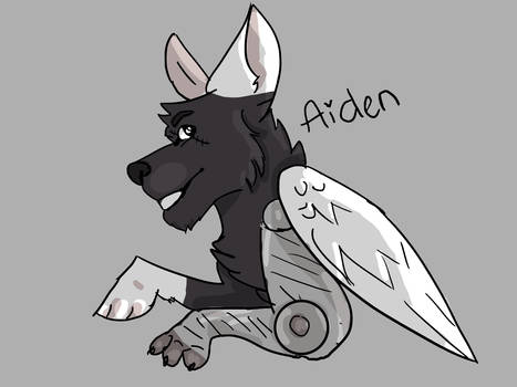 Aiden