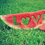 Watermelon Love Grass