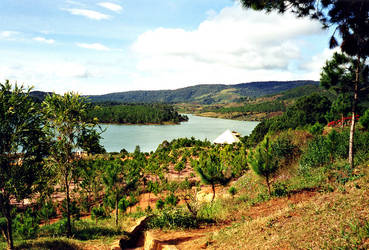 Dalat