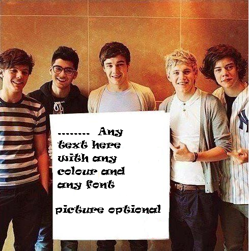 One Direction Fan Made Signs