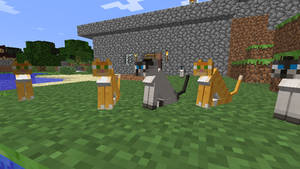 Cats Sitting in Snapshot 12w05a