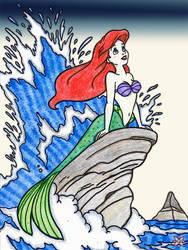 Mermaid on the Rocks