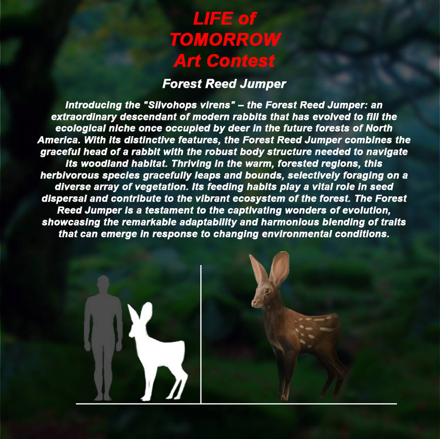Forest Reed Jumper info by strangerdoggo on DeviantArt