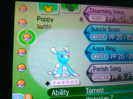 Poppy the Brionne