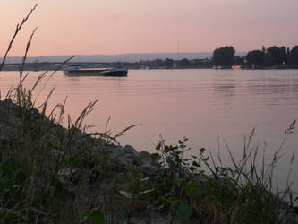 A Summer-Evening on the Rhine