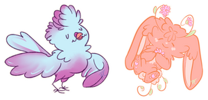 Test Designs - Birb Adopt CLOSED