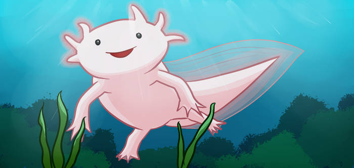 Axolotl