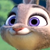 Judy - Icon