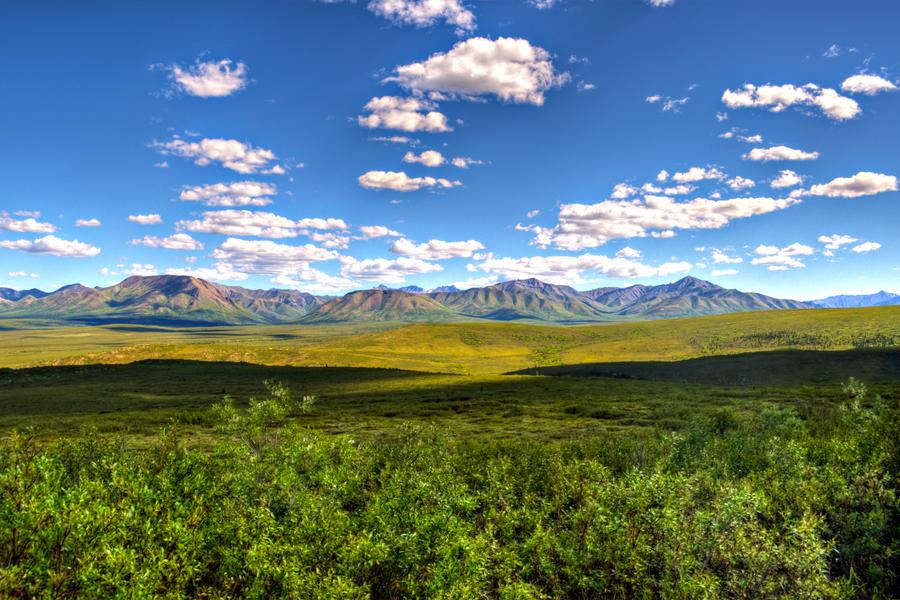 Denali and Beyond