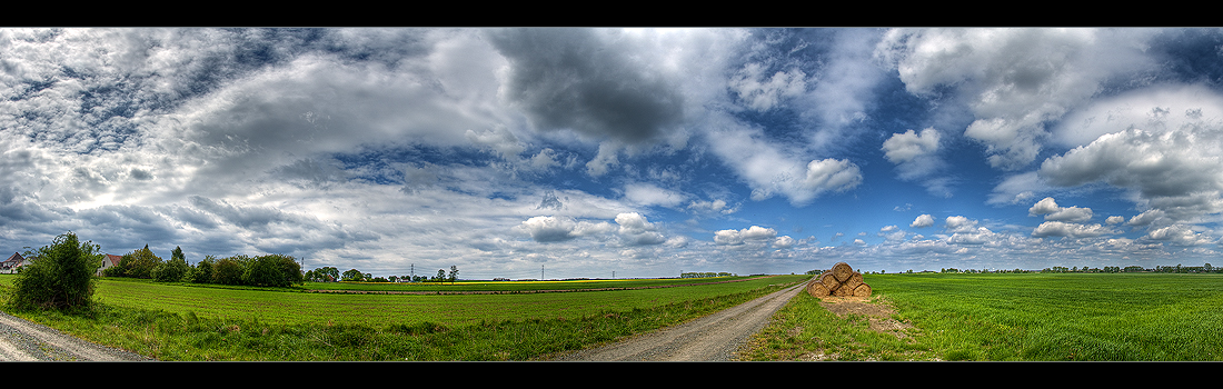 Polish Fields