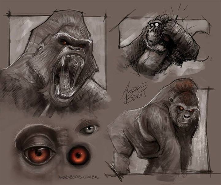 Gorilla concepts