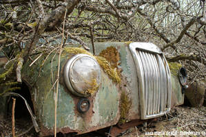 The Car Cemetery - Sweden