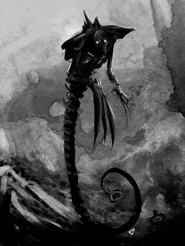 Wraith Sketch