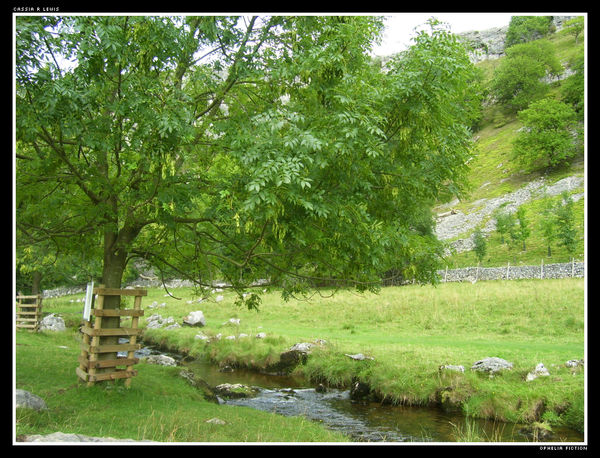 Draping Tree by PaintYourWorld on DeviantArt