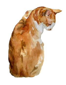 Orange Watercolor Tabby Cat